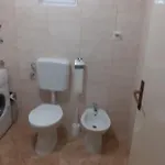 Apartment Oliveoasis