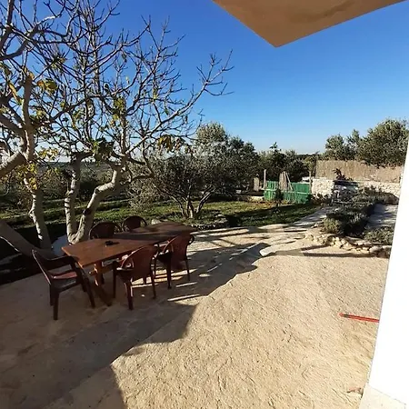 Oliveoasis *